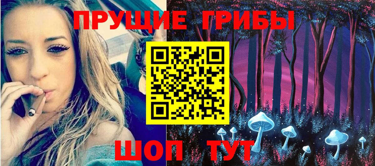 продажа наркотиков  Галлюциногенные грибы Psilocybe  Вход с VPN  Владивосток  Псилоцибиновые грибы мицелий 